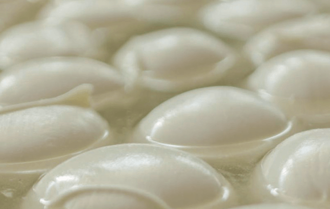 Fior di Latte : le fromage de vache qui sublime la pizza