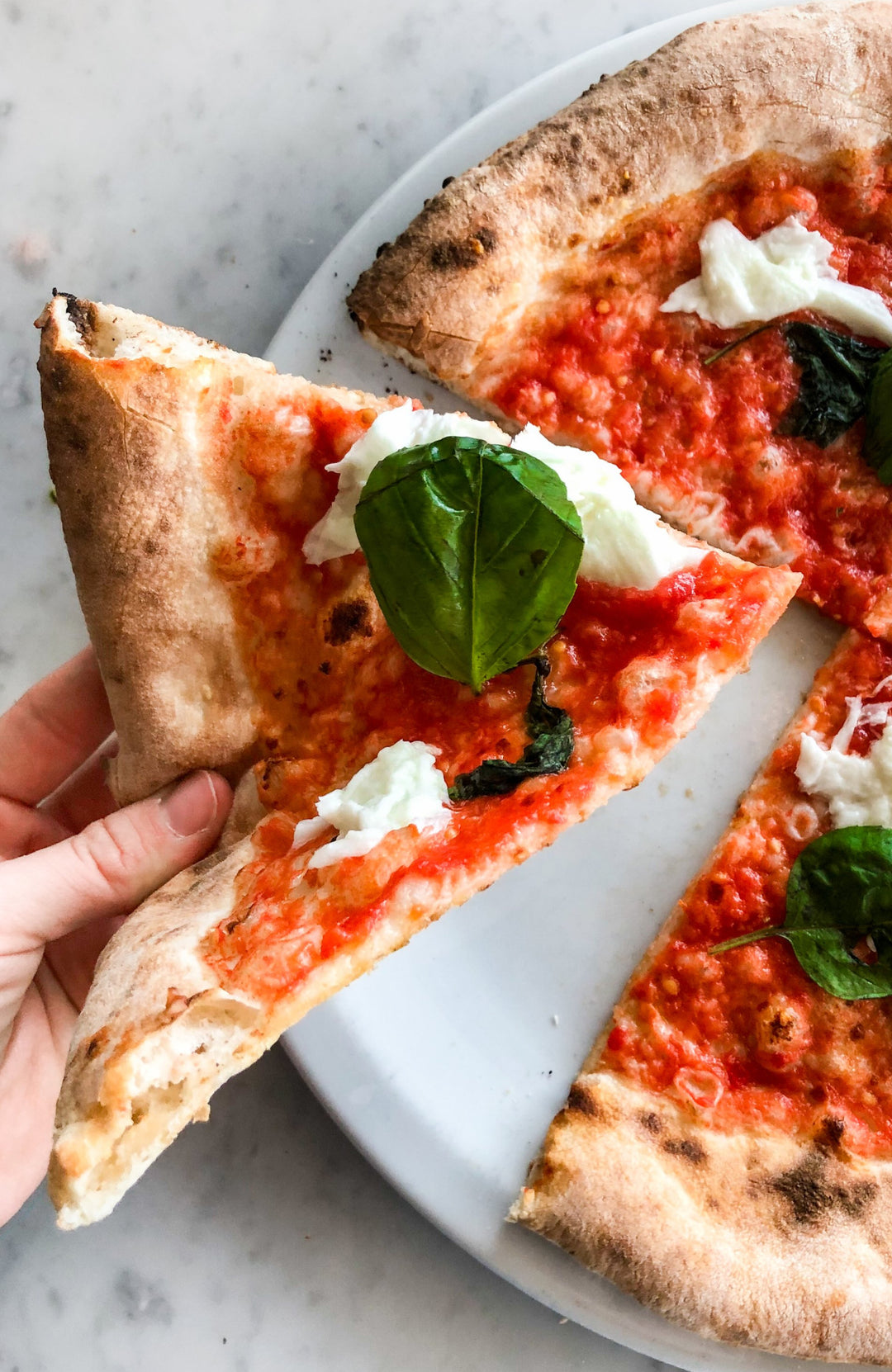 N0900-PIZZA-napolitaine-lyon-France-meilleure-pointe-pizza-margherita-franchise